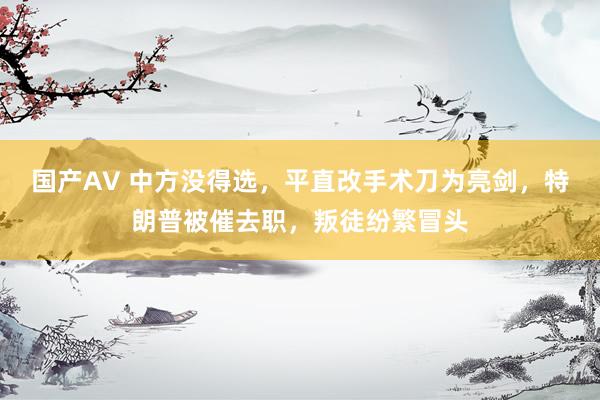 国产AV 中方没得选，平直改手术刀为亮剑，特朗普被催去职，叛徒纷繁冒头