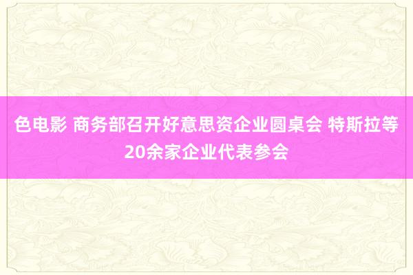 色电影 商务部召开好意思资企业圆桌会 特斯拉等20余家企业代表参会