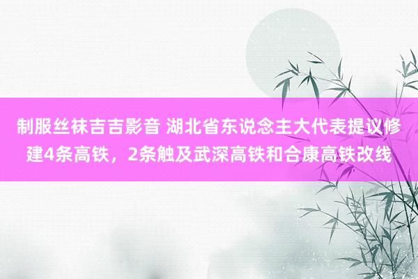 制服丝袜吉吉影音 湖北省东说念主大代表提议修建4条高铁，2条触及武深高铁和合康高铁改线