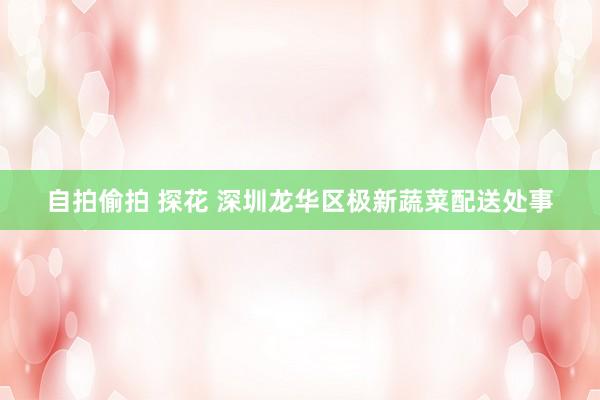 自拍偷拍 探花 深圳龙华区极新蔬菜配送处事