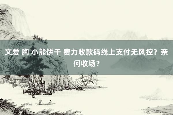 文爱 胸 小熊饼干 费力收款码线上支付无风控？奈何收场？