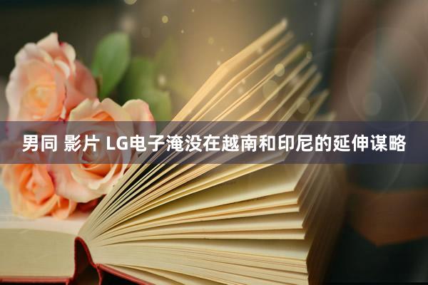 男同 影片 LG电子淹没在越南和印尼的延伸谋略
