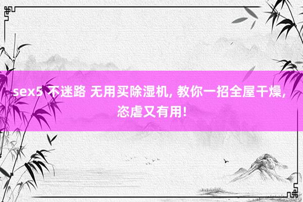 sex5 不迷路 无用买除湿机， 教你一招全屋干燥， 恣虐又有用!
