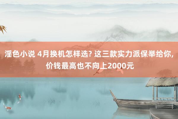 淫色小说 4月换机怎样选? 这三款实力派保举给你， 价钱最高也不向上2000元