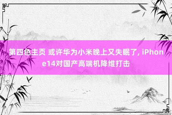 第四色主页 或许华为小米晚上又失眠了， iPhone14对国产高端机降维打击