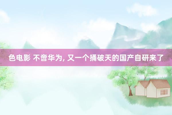 色电影 不啻华为， 又一个捅破天的国产自研来了