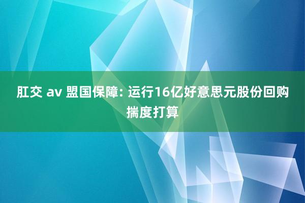 肛交 av 盟国保障: 运行16亿好意思元股份回购揣度打算