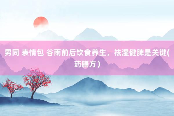 男同 表情包 谷雨前后饮食养生，祛湿健脾是关键(药膳方）