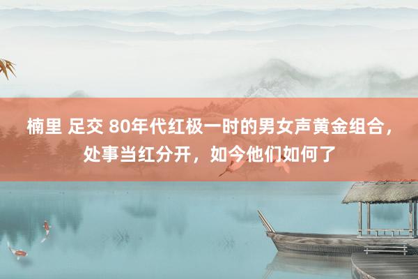 楠里 足交 80年代红极一时的男女声黄金组合，处事当红分开，如今他们如何了